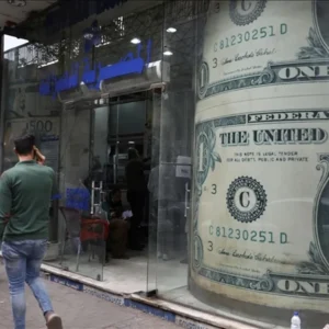 2 - محمود محمد