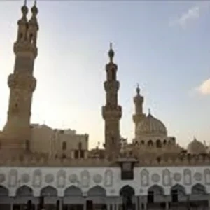 11 الدبلوماسية الاقتصادية والقوة الناعمة - محمود محمد