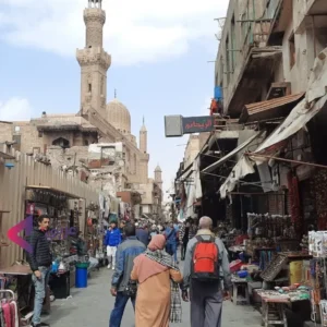 15 بناء الإنسان المصري كمحرك للنهضة الاقتصادية - محمود محمد